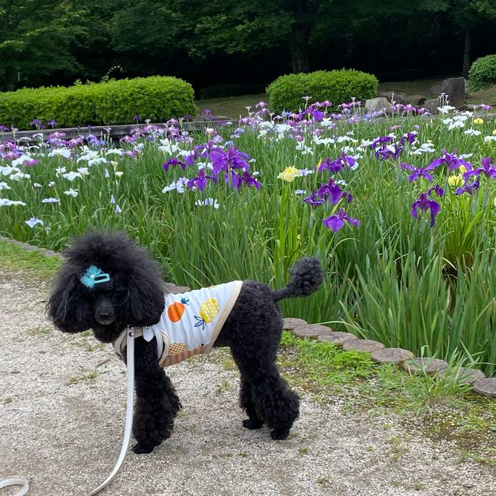 387a5caa 59cb 46d5 b001 c737ba218221 1654814355603