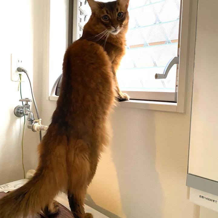 387a71fc c397 4bb7 ad14 2d00063b0651 1668046835908