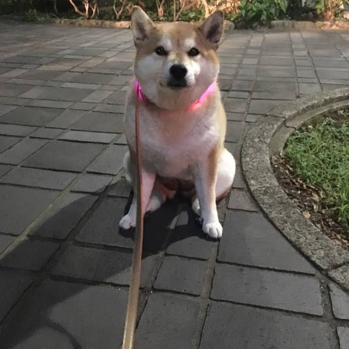 387a7be7 a487 42ce 9284 83c8d6d0d5f1 1568714878773