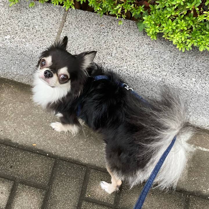 387a8fea 8c40 4cb2 8050 c643dc16ca6d 1662212450362