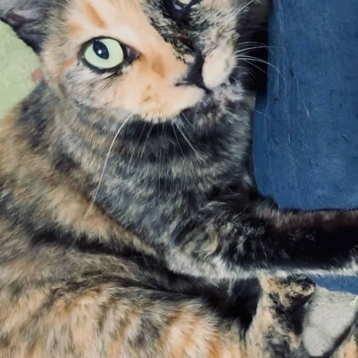 387a99f8 0e56 4dc0 9d5c 8b9b01245fa9 1754081296332