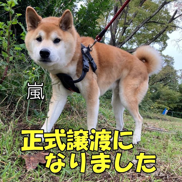 387ad2b9 6418 432e 823a cbfae88089ba 1607409179475