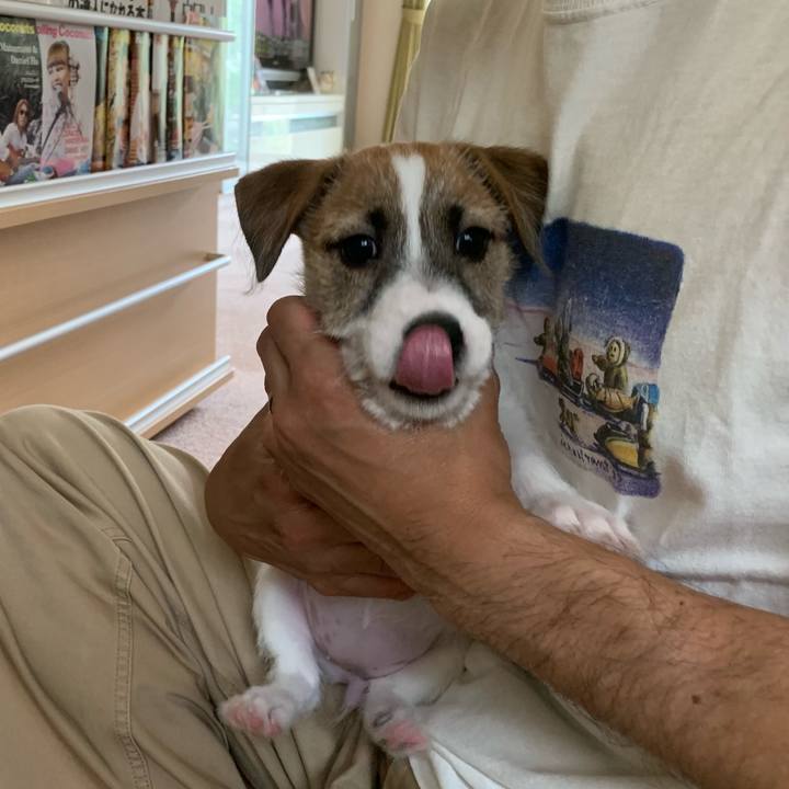 387adf3b b578 44a1 ac65 12fb51addcfa 1559364894071