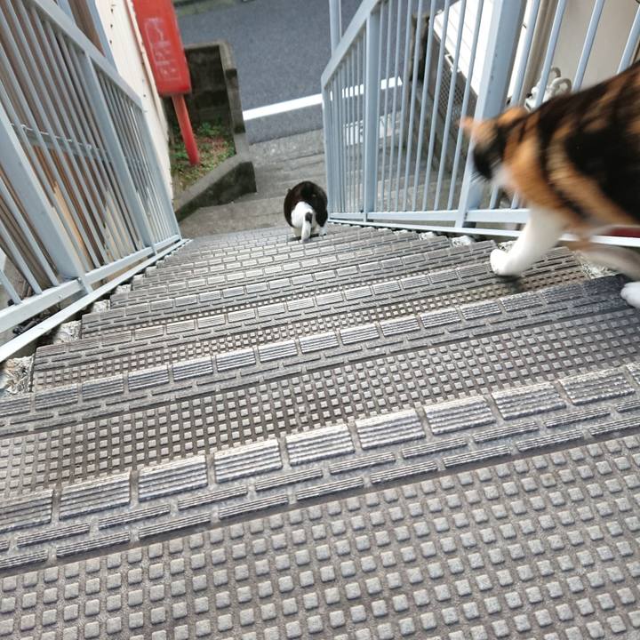 387b2ddb e531 4c52 b883 71df210178fb 1572493525894