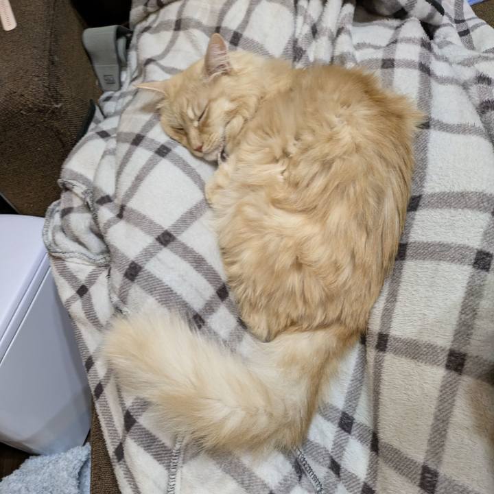 387b4fd9 6786 499d aa21 bcc96cb6dc5d 1764596990136