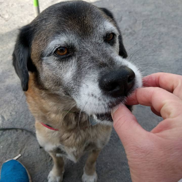 387b5b59 8106 468a ae5f 52d32c220d93 1551054108465