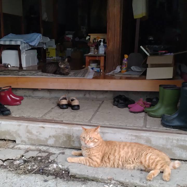 387b898b 4753 4224 b073 58cfc5fc453f 1689500122928