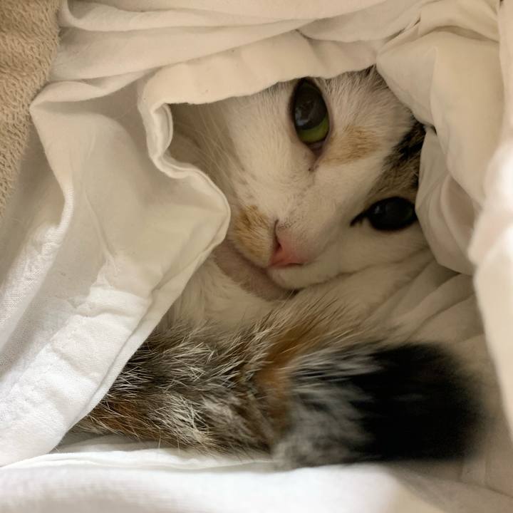 387ba5e9 179f 4b86 87ad 2ff706b5a8ab 1637583802577