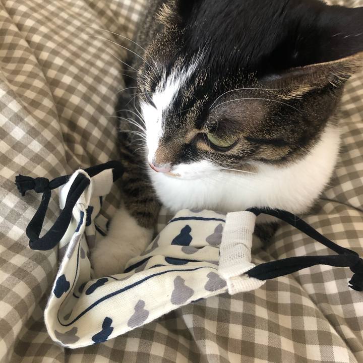 387bd4db a339 4d2d 9889 ba2e99d965e7 1588212759105