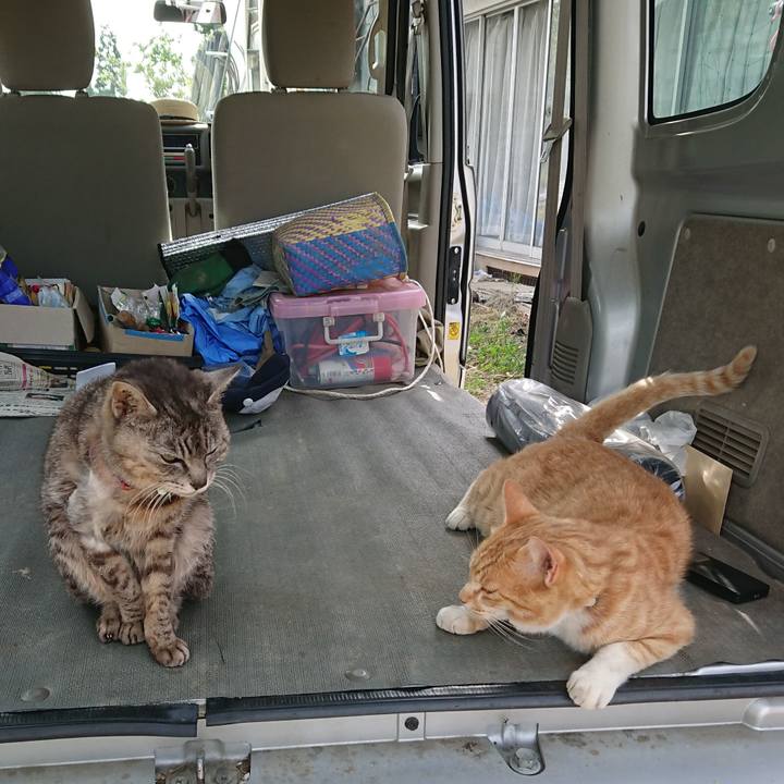 387bfa99 2ec1 4ec8 847c 5b0f065e5fe9 1591433662745