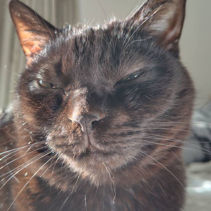 387bfcf7 32de 40d6 8319 dde89f1483f3 1768610967525