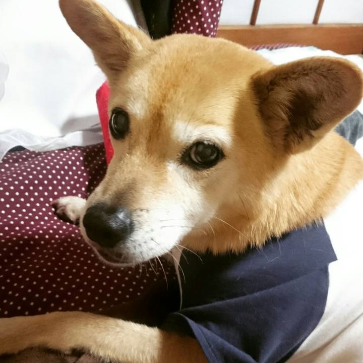 387c04f8 82bb 4850 8a34 37bce54ffd9b 1590828509141