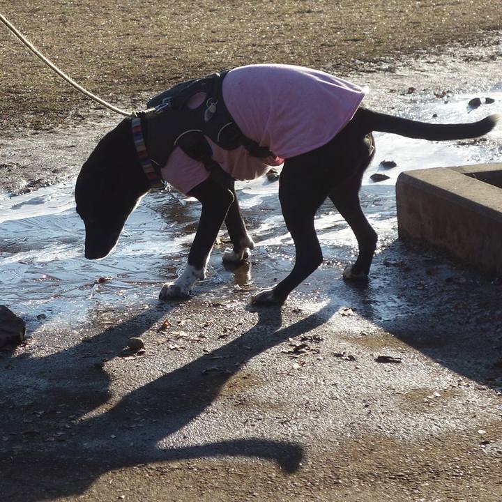 387c3c89 729b 41a1 b37c dde909e94800 1645407155298