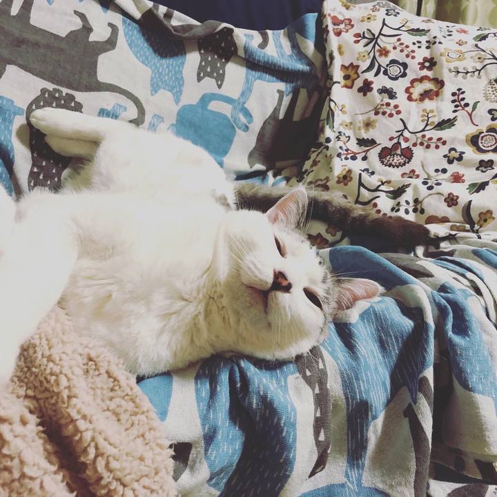 387c595c 6853 41b8 8aac ecddc187f130 1574823284853