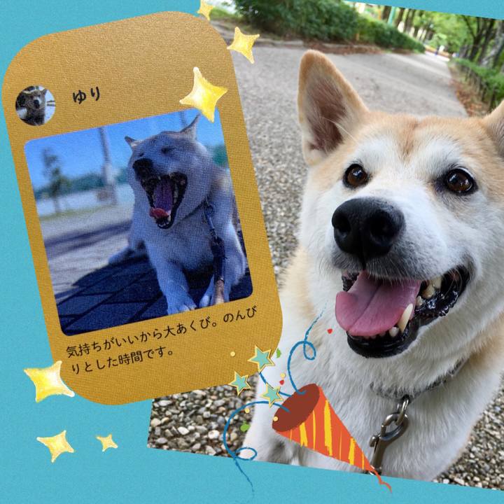 387c9332 38a8 4c70 a1c7 71cec6b9b5f3 1556467267555