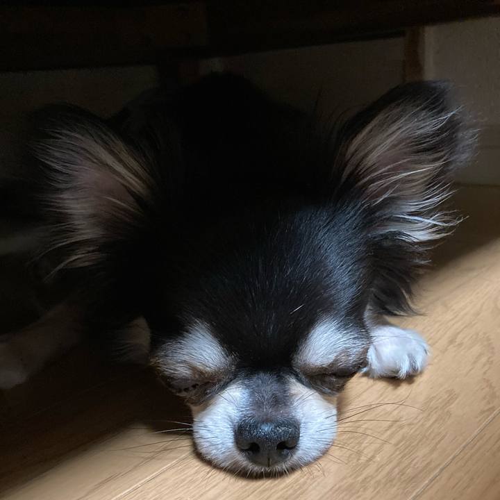 387c95fc 4ee6 4e59 8bd5 83b320d81492 1650806938147