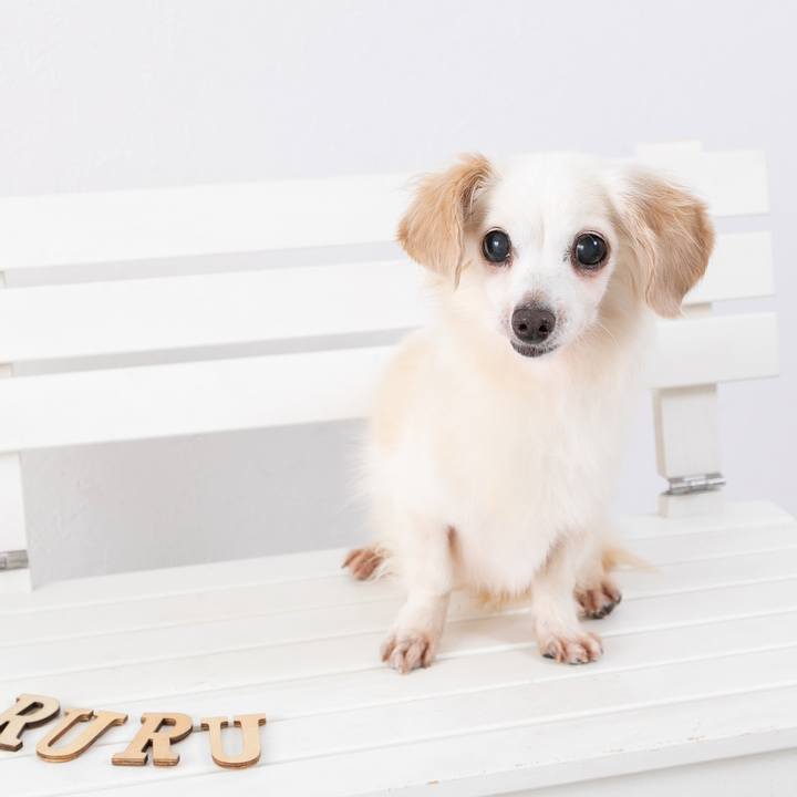 387cb9f9 ae11 4d16 8157 ad89c74d3593 1695859476550