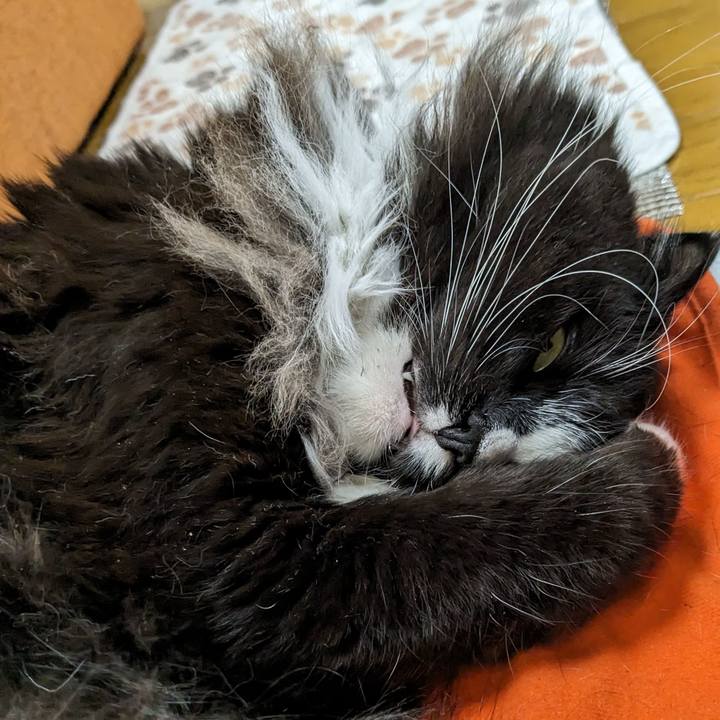 387cc19d 8d08 4afa bd2d a52debda5b9c 1705905928117