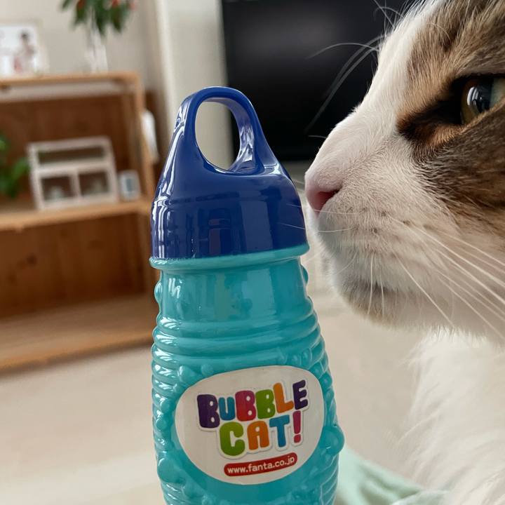 387cf633 7273 4e16 9ffe 6b2759955392 1673766452319