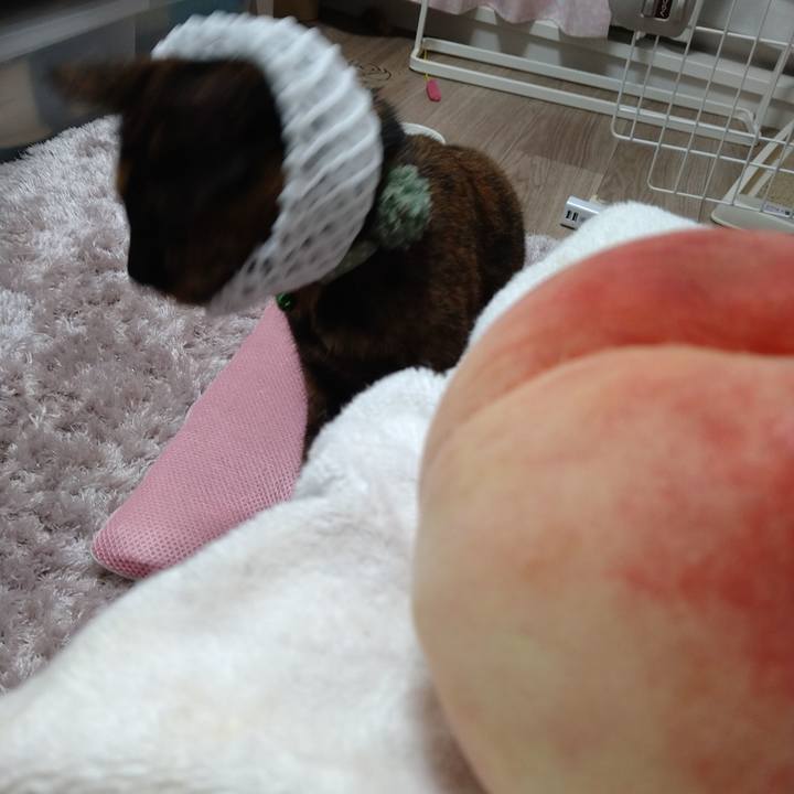 387cfa82 bd47 415c ba4e 84eee468e788 1662993254389