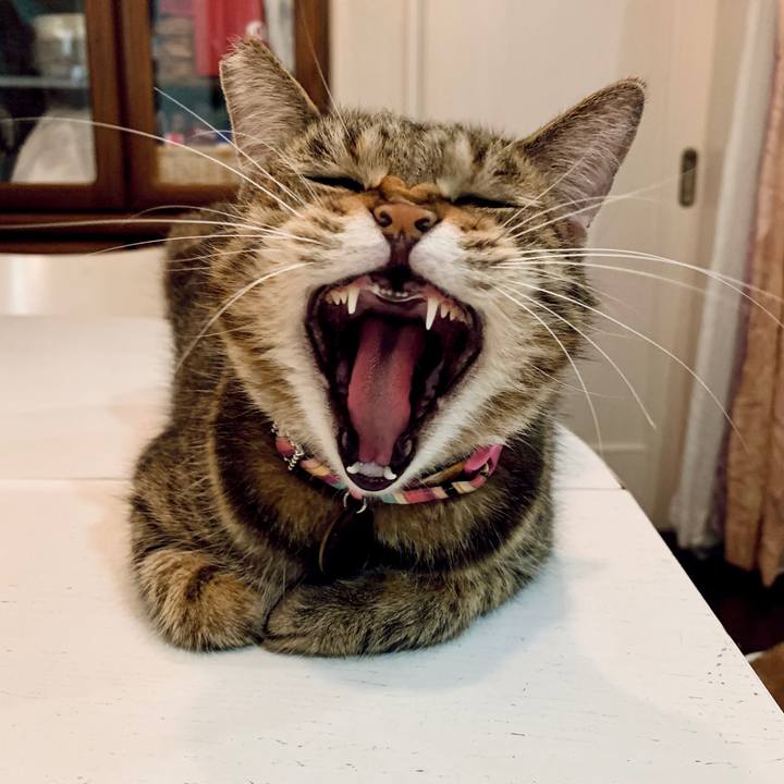 387d25af d467 4747 bc67 ec01f96b7596 1665410069613