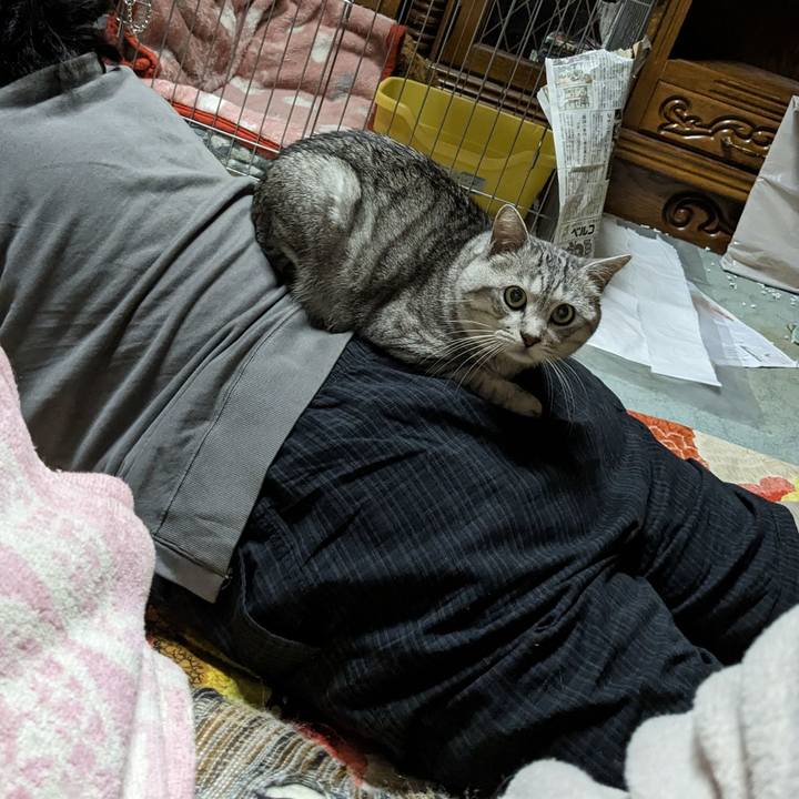 387d299c f084 4cb3 9156 2007166cdad1 1698924403178