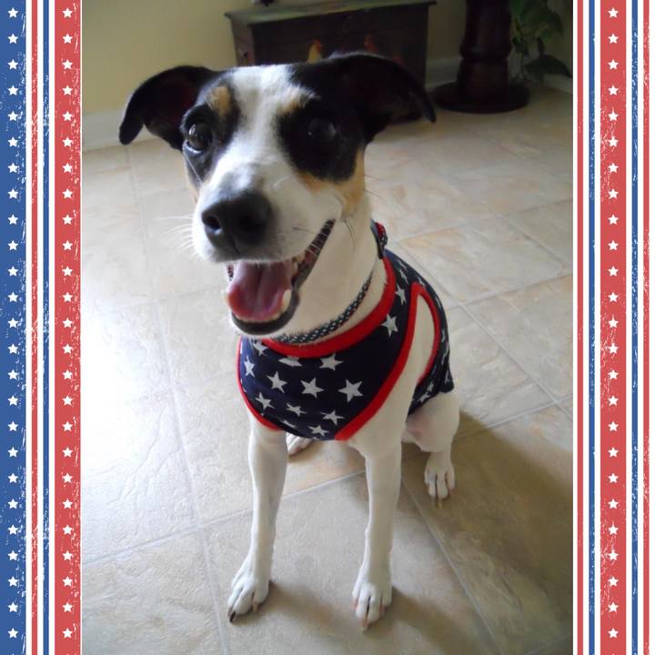 387d351c 0e0f 4a21 90c6 95a2e41189cb 1688508307442