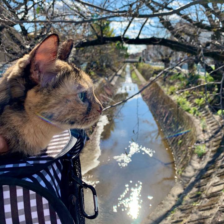 387d44c7 135d 47da 978a 2cd3d6289822 1764433738943