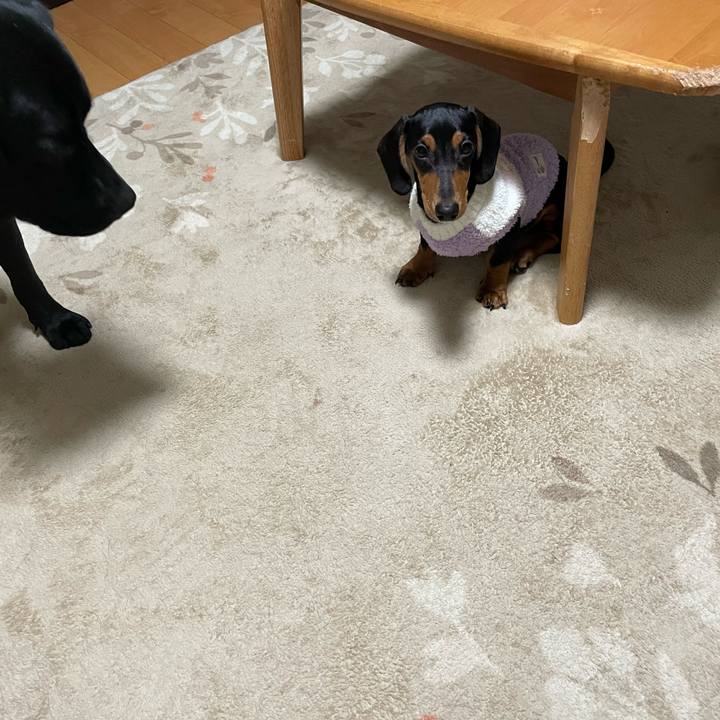 387d54c0 5da4 434e b617 2d7b9d83e27d 1640357434310