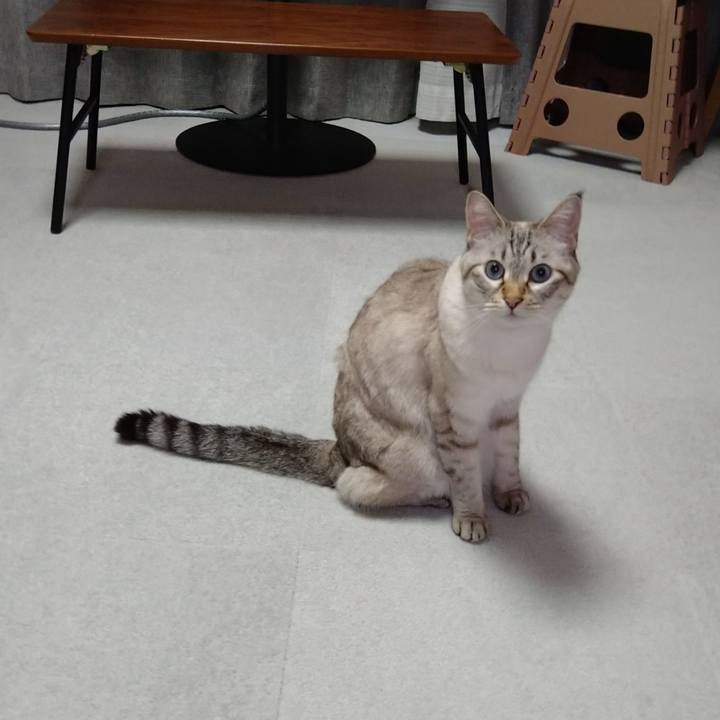 387d80cb 730a 4bd3 bfc8 c35658083039 1633603954277