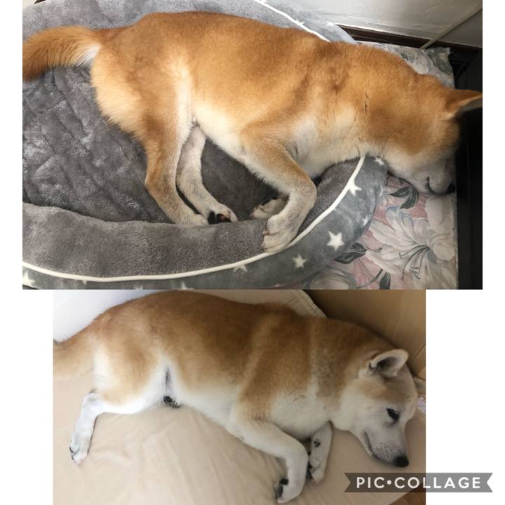 387da2dc ce9c 4520 8061 499efaebba6a 1571809020169