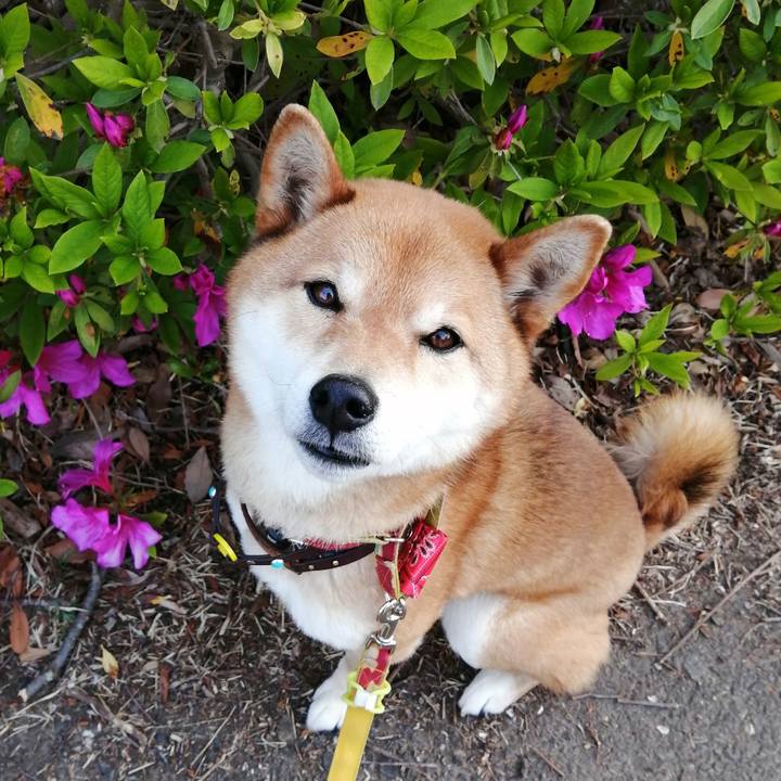 387da3cd cf6b 460a b47c dfa08247f5e9 1586991042996