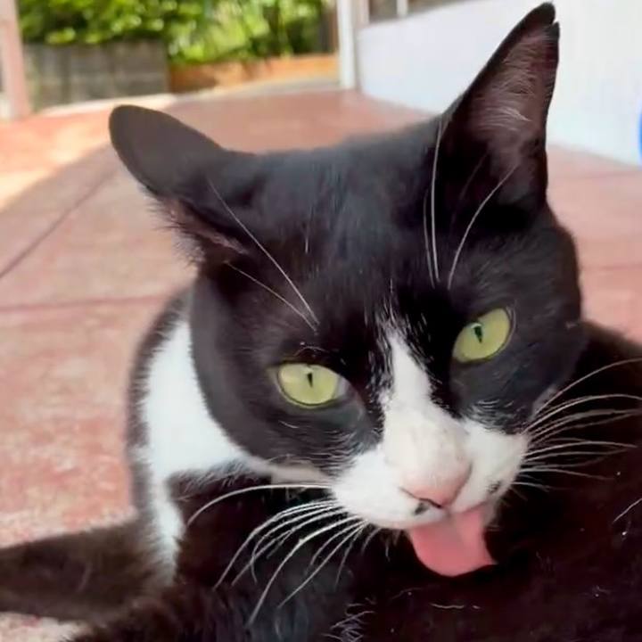 387dcf5d ad6c 4d30 a456 a0bd4ce86825 1751343437819