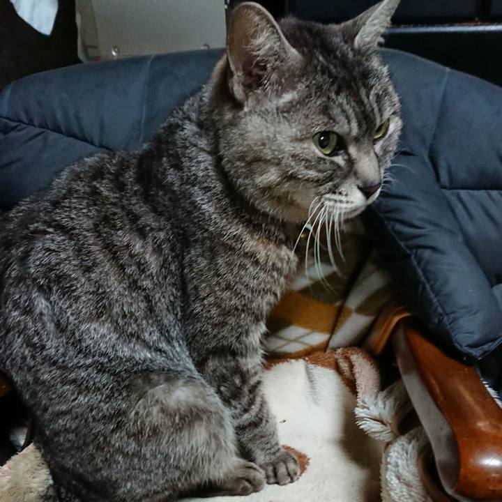 387e21f3 6439 4612 b932 6816b2b6e5d3 1551095907895