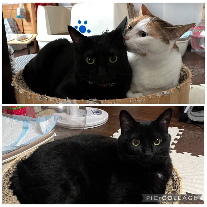 387e51da f4cc 449b 9a26 c941299b4b8e 1760195240685