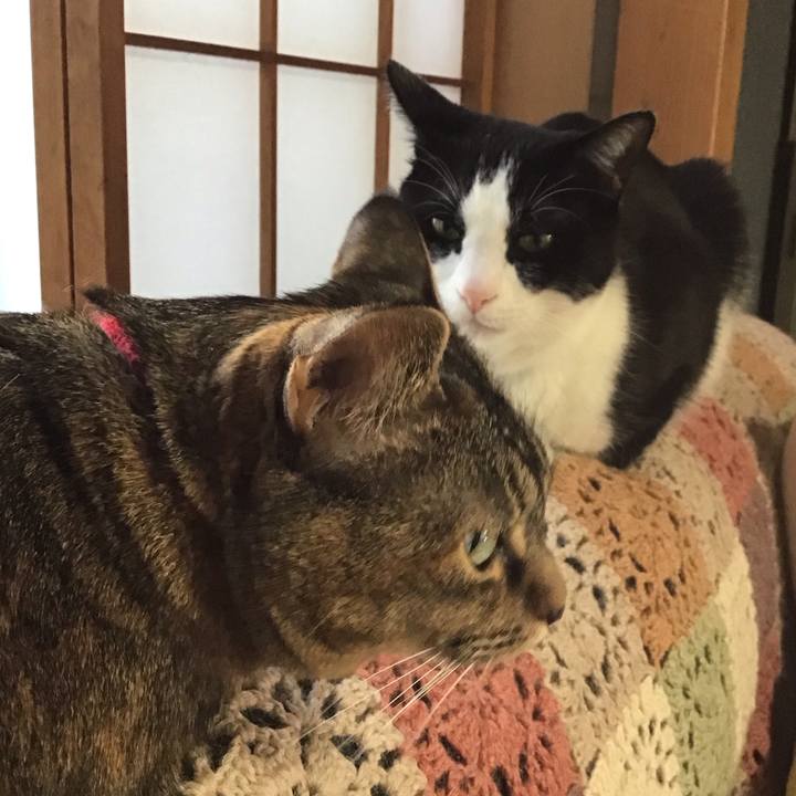 387e6503 556b 4a45 bb9c ab5613335ede 1708422484981