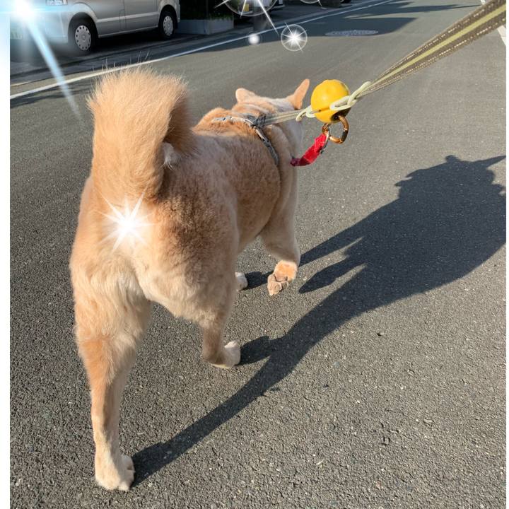 387e75f6 0d63 4ce0 ad39 759a3cea4b25 1617408784463