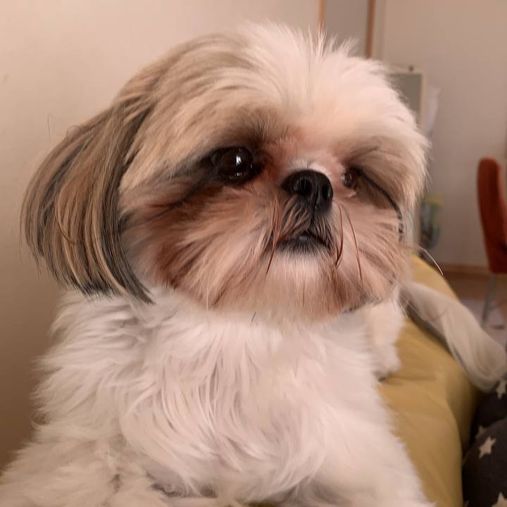 387e9642 ed25 465e b76c 0b6ca24a49ea 1605320052097