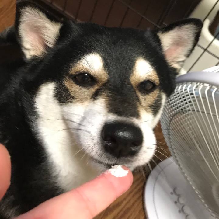 387eab91 ffc2 4ec7 b716 756615593b77 1507982362367