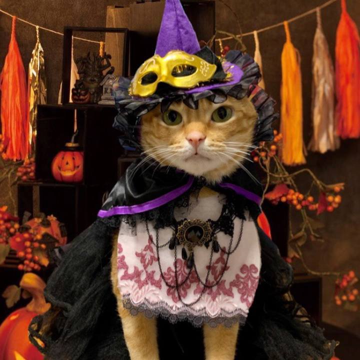 387eec0a ac1f 441d 9828 81277660bfd4 1635503548865