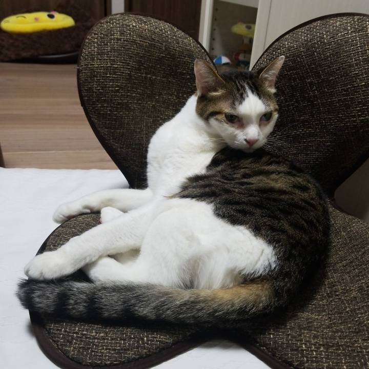 387eeea2 f49a 45b4 933f c2781799e34f 1587554249928