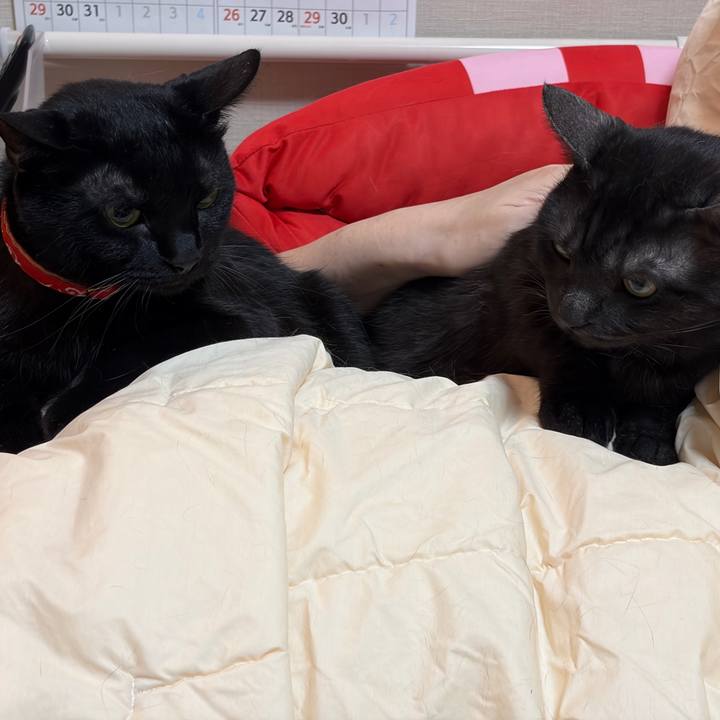 387f2768 0dc7 4c94 b8a8 ad912ca5a9f4 1772369813608