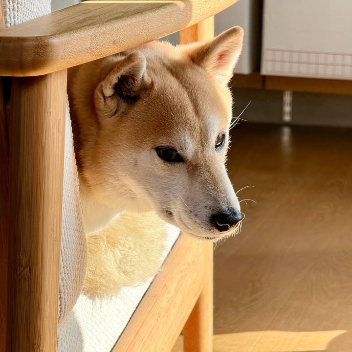 387f9970 7117 4dea 89d5 f81afc87758b 1769930895608