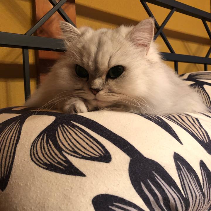 387fa4ff b80c 4edd 8507 ecc4b9fe3f50 1609376818751