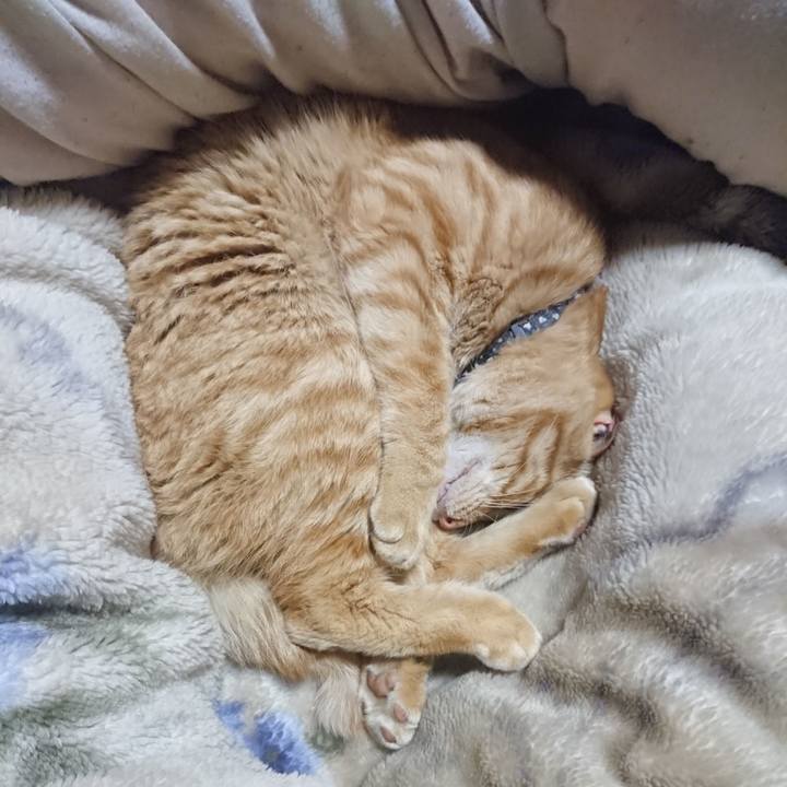 387fdd3b bd05 4073 90c4 5b470d185ccc 1652617039019