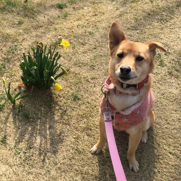 388002ef 850f 4dc0 88cc 1338d465bf8d 1521368764632