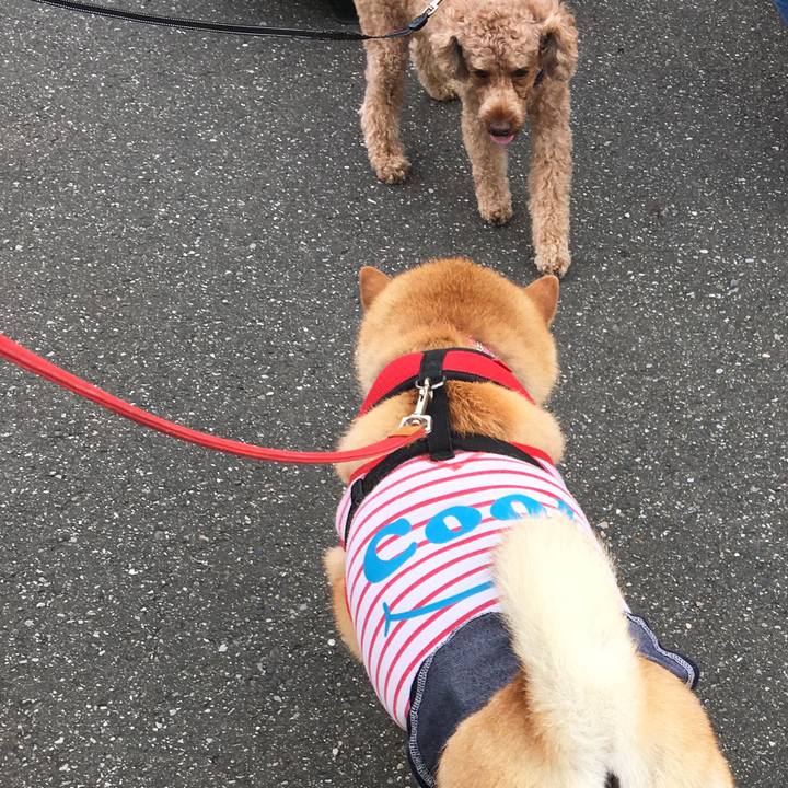 38801e1d a5f0 4af9 afe3 05fd6ce1960c 1596844601345