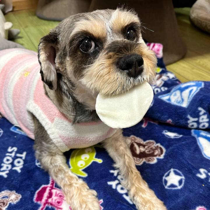 38802421 63e2 4a88 9671 3fa56fcaa04d 1709278534723