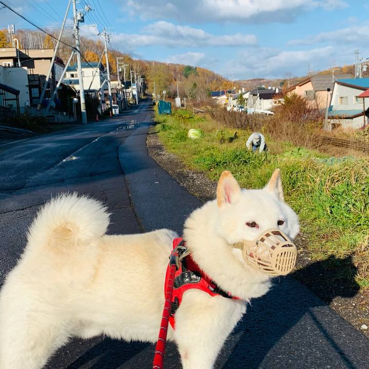 38802b18 4314 42c2 92e1 20a6c206f684 1636677668569