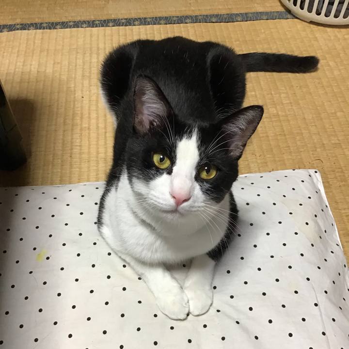 38803218 de28 480a 9068 41842a86baa8 1656319223282